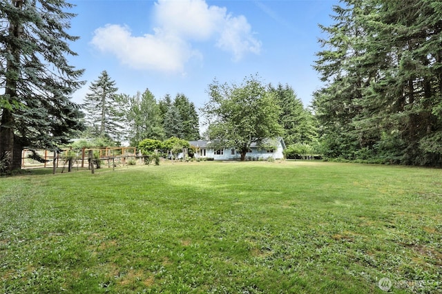116 Noble Rd, Winlock, WA 98596 - view of grassy yard