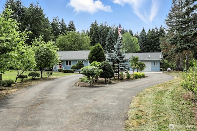 116 Noble Rd, Winlock, WA 98596 - view of property hidden behind natural elements featuring driveway