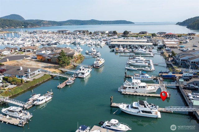 1909 Skyline Way Unit F, Anacortes, WA 98221 - drone / aerial view of a marina and a water and mountain view