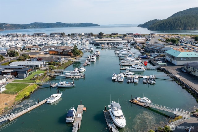 1909 Skyline Way Unit F, Anacortes, WA 98221 - bird's eye view of numerous boat docks and a water and mountain view