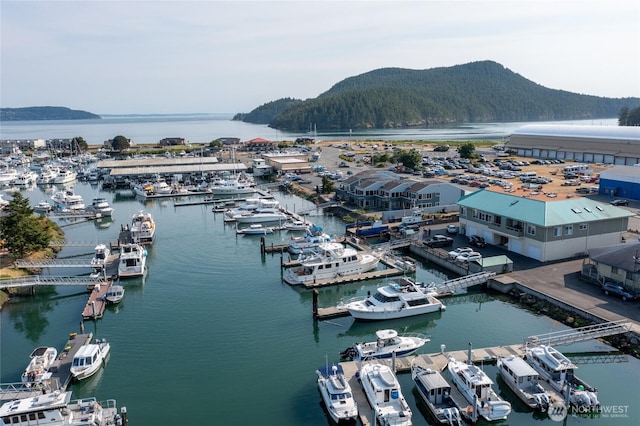 1909 Skyline Way Unit F, Anacortes, WA 98221 - water view with a marina and a mountainous background