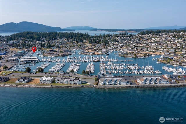 1909 Skyline Way Unit F, Anacortes, WA 98221 - aerial view of numerous boat docks and a water and mountain view