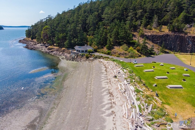 1909 Skyline Way Unit F, Anacortes, WA 98221 - bird's eye view of a large body of water and a forest