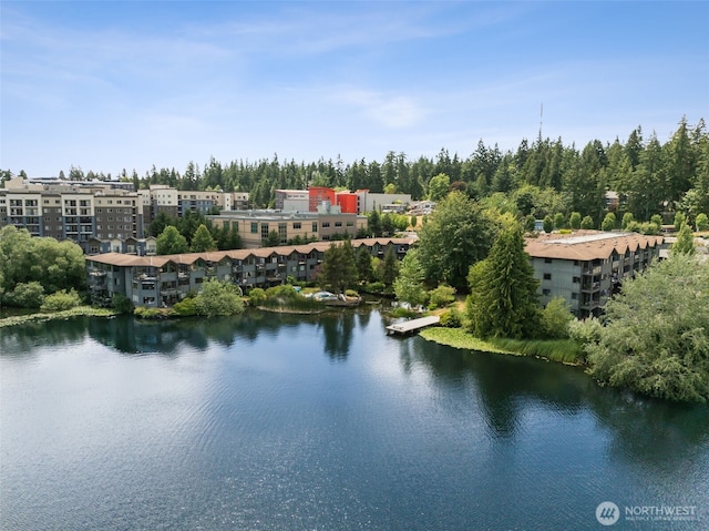 19414 Aurora Ave N Unit 203, Shoreline, WA 98133 - water view