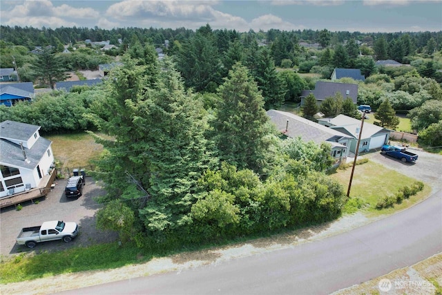 186 Wishkah St SW, Ocean Shores, WA 98569 - photo 2