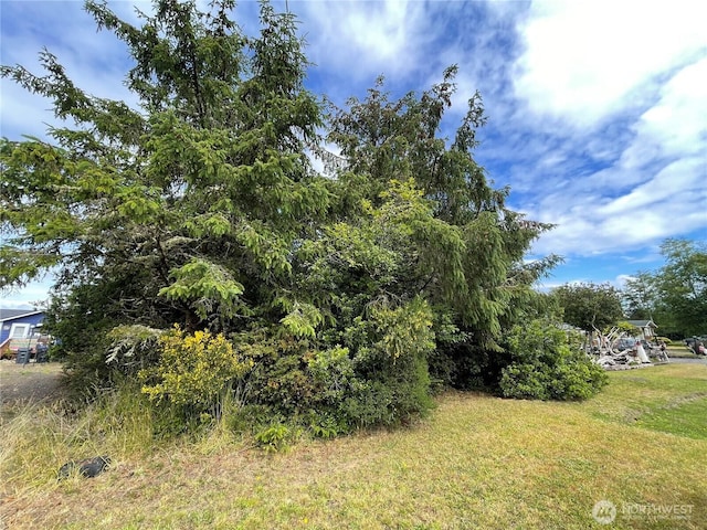 572 Duck Lake Dr NE, Ocean Shores, WA 98569 - photo 2