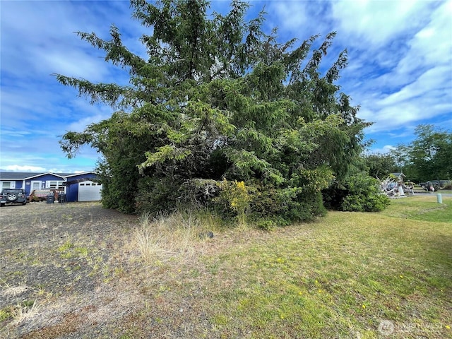 572 Duck Lake Dr NE, Ocean Shores, WA 98569 - photo 6