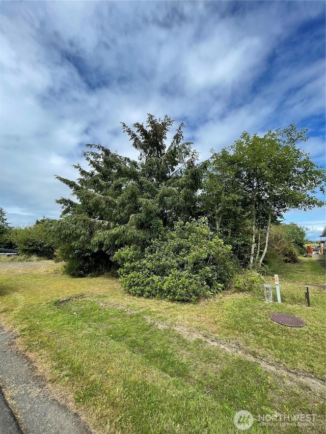 572 Duck Lake Dr NE, Ocean Shores, WA 98569 - photo 8