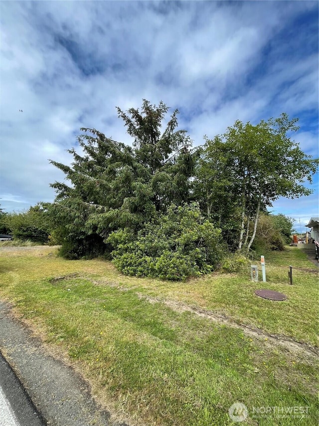 572 Duck Lake Dr NE, Ocean Shores, WA 98569 - photo 9