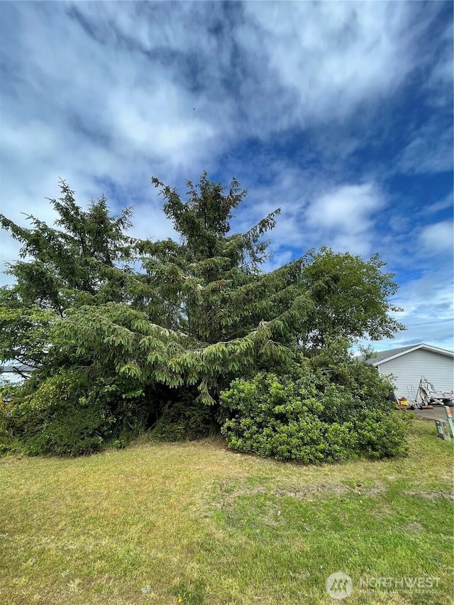 572 Duck Lake Dr NE, Ocean Shores, WA 98569 - photo 10