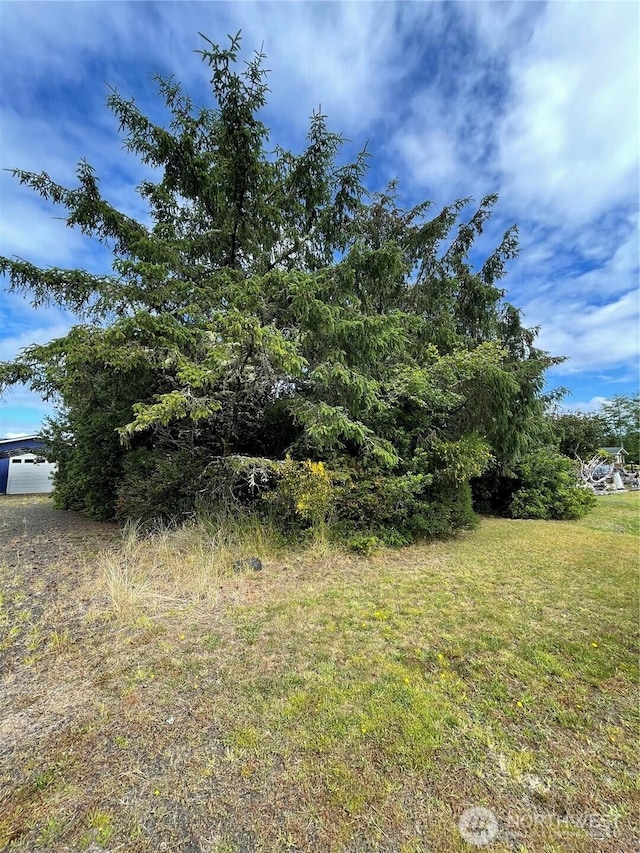 572 Duck Lake Dr NE, Ocean Shores, WA 98569 - photo 12