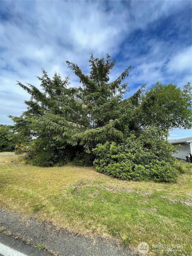 572 Duck Lake Dr NE, Ocean Shores, WA 98569 - photo 16