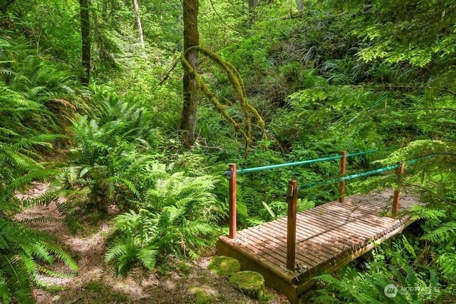 530 175th Ave NE, Snohomish, WA 98290 - photo 24