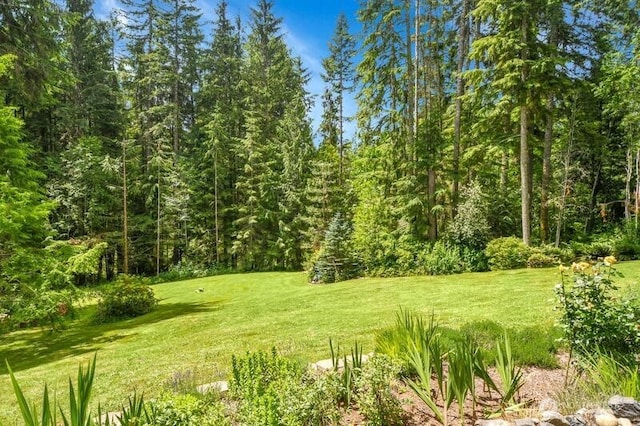 530 175th Ave NE, Snohomish, WA 98290 - photo 28