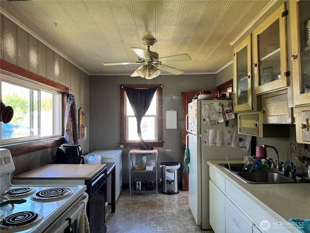 1105 Central Ave, Oroville, WA 98844 - kitchen with white appliances, ornamental molding, plenty of natural light, a ceiling fan, and light countertops