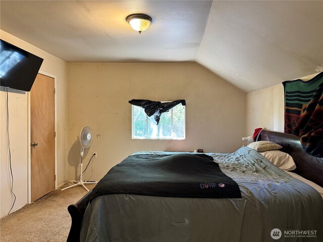 1105 Central Ave, Oroville, WA 98844 - carpeted bedroom featuring lofted ceiling