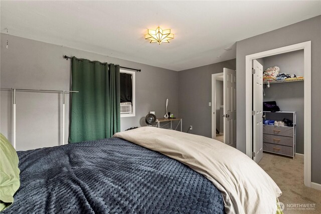 12027 78th Ave S, Seattle, WA 98178 - carpeted bedroom with a spacious closet and a closet