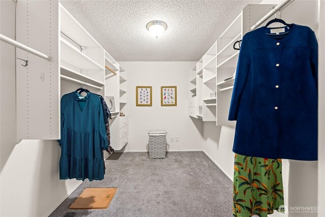 818 179th Pl NE, Bellevue, WA 98008 - walk in closet featuring carpet