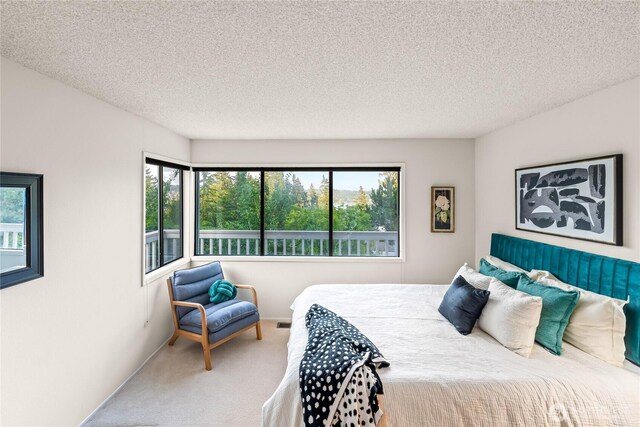 818 179th Pl NE, Bellevue, WA 98008 - bedroom with carpet flooring, multiple windows, and a textured ceiling