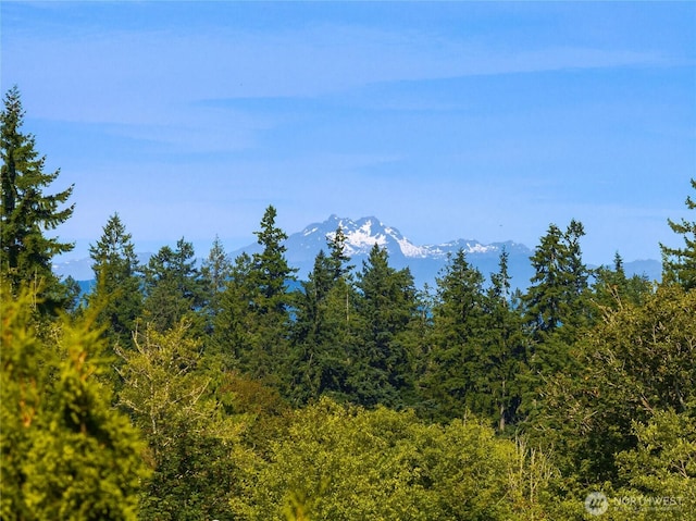 742 Freedom Ct SE, Port Orchard, WA 98366 - view of mountain background featuring a heavily wooded area