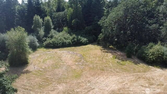 12515 Hubbard St SE, Rainier, WA 98576 - photo 24