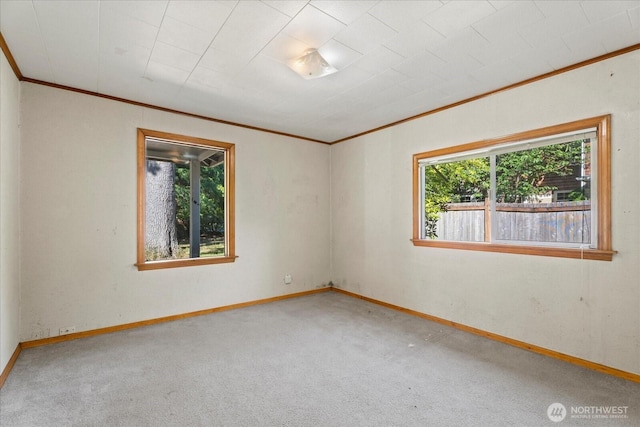 18056 25th Ave NE, Lake Forest Park, WA 98155 - spare room featuring ornamental molding and carpet floors