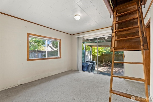 18056 25th Ave NE, Lake Forest Park, WA 98155 - carpeted spare room featuring ornamental molding