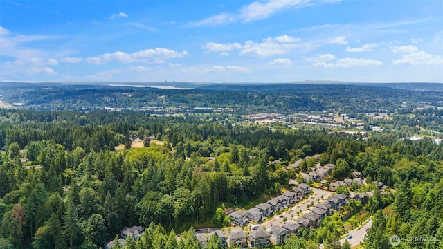 15249 NE Woodland Pl, Woodinville, WA 98072 - photo 39