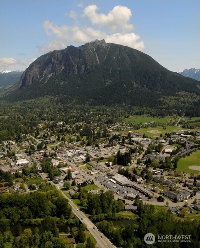 133 W 4th St, North Bend, WA 98045 - view of mountain backdrop