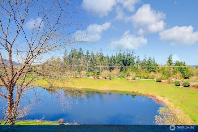 1957 23rd Pl NE Unit 203, Issaquah, WA 98027 - photo 4