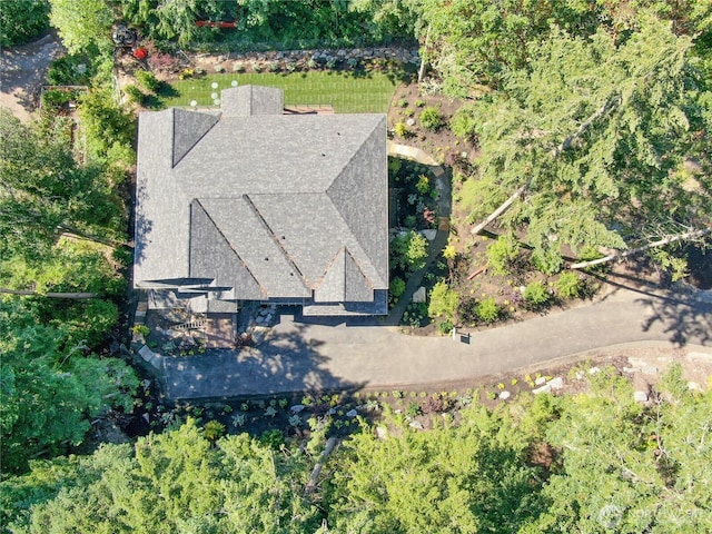 4740 Rose Ave NE, Bainbridge Island, WA 98110 - photo 39