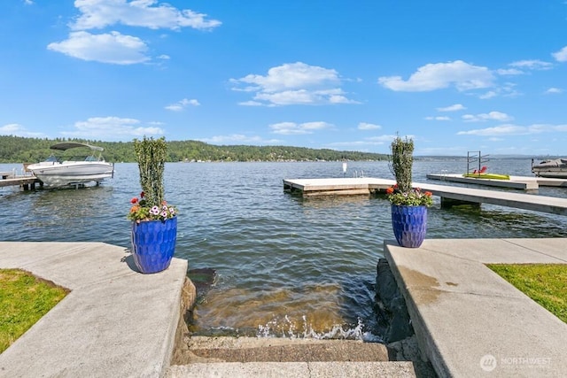 13190 Riviera Pl NE, Seattle, WA 98125 - dock area featuring a water view