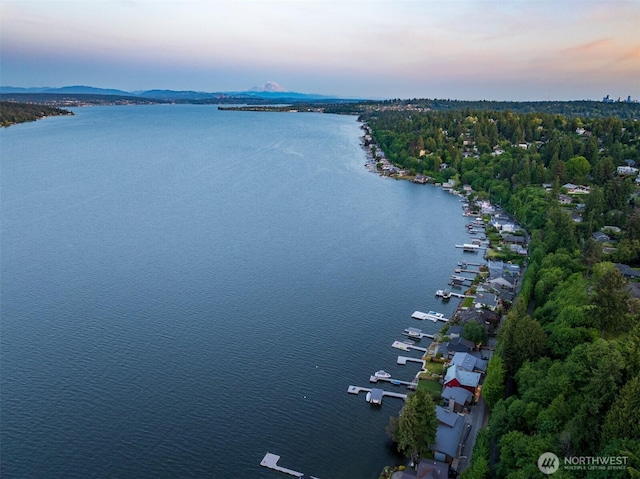 13190 Riviera Pl NE, Seattle, WA 98125 - drone / aerial view of a large body of water