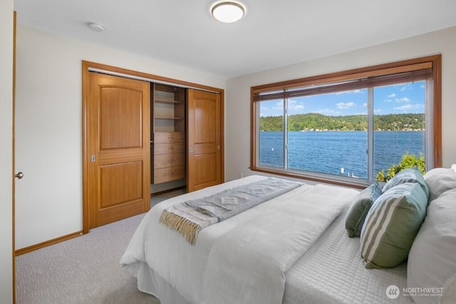 13190 Riviera Pl NE, Seattle, WA 98125 - bedroom featuring carpet flooring and a closet