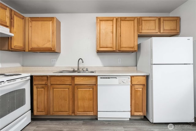 23 S 338th Pl, Federal Way, WA 98003 - kitchen with white appliances, light countertops, wood finished floors, under cabinet range hood, and brown cabinetry