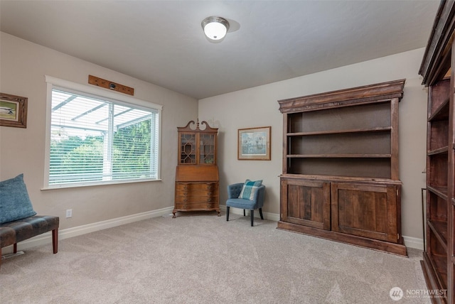 1122 36th Ave NE, Olympia, WA 98506 - sitting room with carpet and baseboards