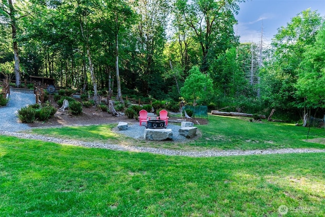 1122 36th Ave NE, Olympia, WA 98506 - view of grassy yard featuring a fire pit