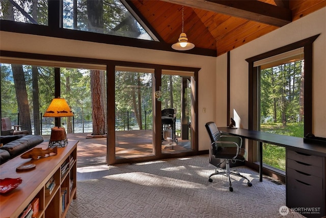 24302 Saddle St, Leavenworth, WA 98826 - home office with wooden ceiling, carpet, and high vaulted ceiling