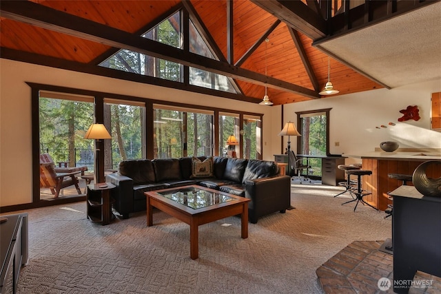 24302 Saddle St, Leavenworth, WA 98826 - living area with carpet floors, plenty of natural light, a wooden ceiling with exposed beams, a wood stove, and high vaulted ceiling