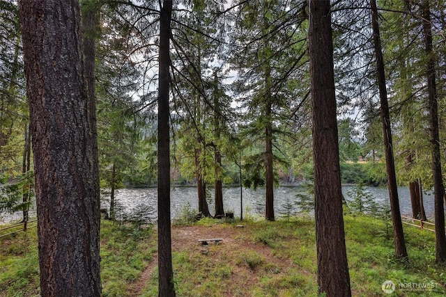24302 Saddle St, Leavenworth, WA 98826 - water view with a heavily wooded area