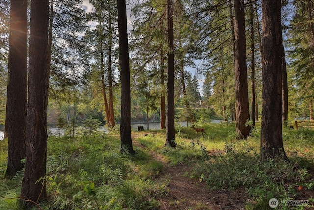24302 Saddle St, Leavenworth, WA 98826 - view of tree filled area