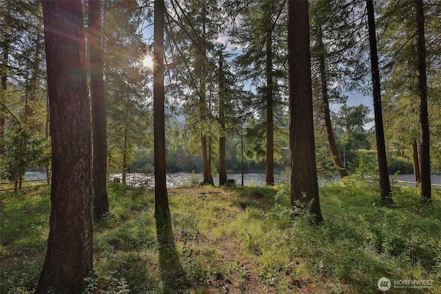 24302 Saddle St, Leavenworth, WA 98826 - water view