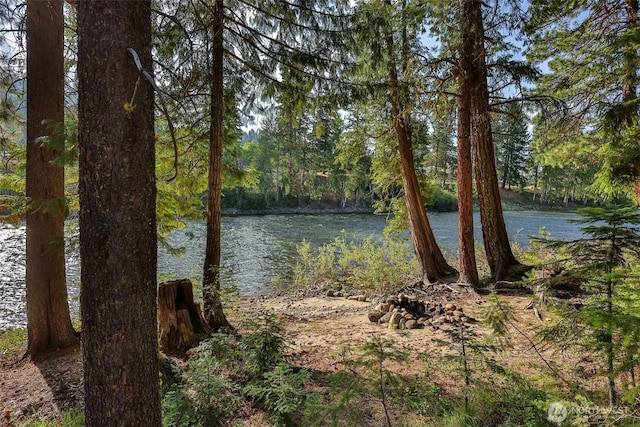 24302 Saddle St, Leavenworth, WA 98826 - water view featuring a forest