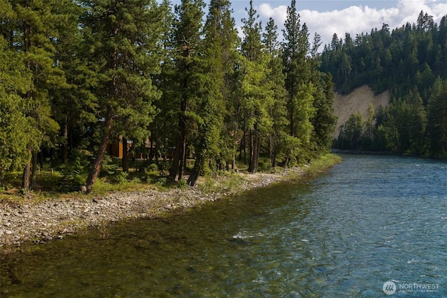24302 Saddle St, Leavenworth, WA 98826 - water view with a forest