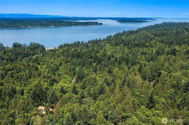 drone / aerial view of a heavily wooded area and a nearby body of water