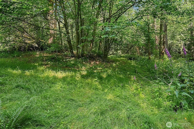 view of wooded area