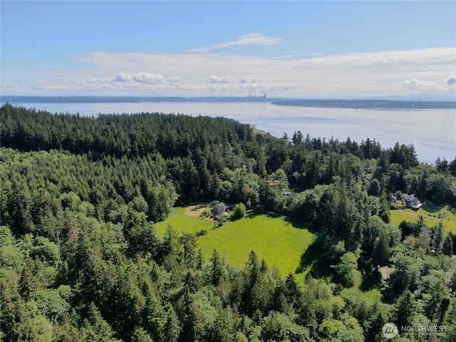 1524 Toe Jam Hill Rd NE, Bainbridge Island, WA 98110 - drone / aerial view of a large body of water and a heavily wooded area