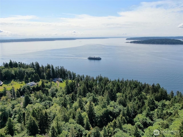 1524 Toe Jam Hill Rd NE, Bainbridge Island, WA 98110 - aerial view of a large body of water