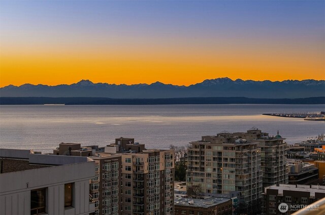 2600 2nd Ave Unit 2002, Seattle, WA 98121 - photo 24