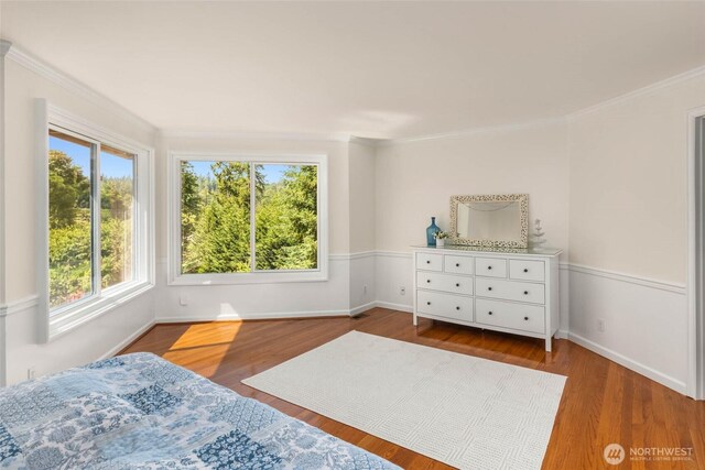 2513 265th Ave NE, Redmond, WA 98053 - photo 23